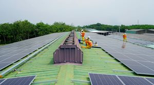 Mission Zero - Getting to Net Zero emissions by 2050