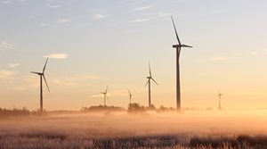 Net Zero - UK and global progress