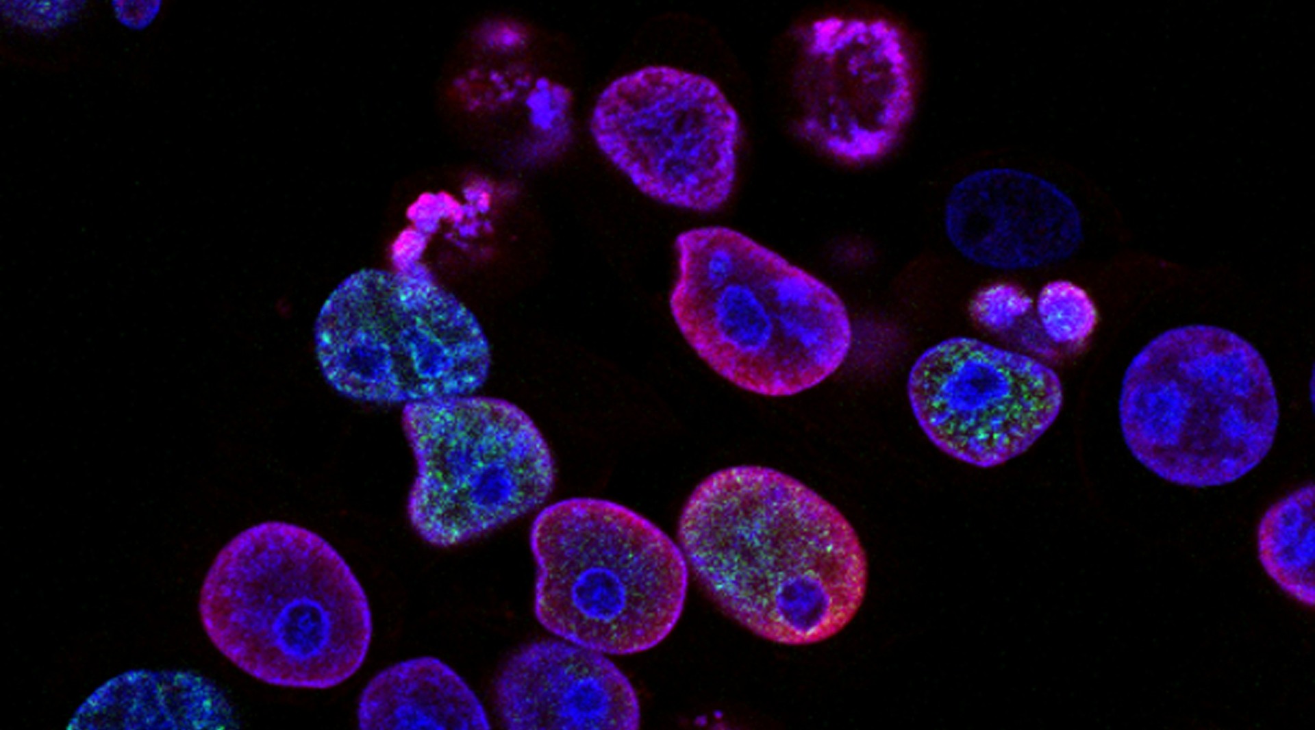 Delivering the UK Life Sciences Strategy