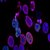 Delivering the UK Life Sciences Strategy